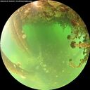 ./images/calvert/underwater/20260522/underwater20260522_104501M.jpg