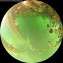 ./images/calvert/underwater/20260522/underwater20260522_105501M.jpg