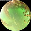 ./images/calvert/underwater/20260522/underwater20260522_111501M.jpg
