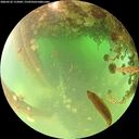 ./images/calvert/underwater/20260522/underwater20260522_112002M.jpg
