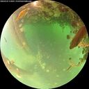 ./images/calvert/underwater/20260522/underwater20260522_113001M.jpg