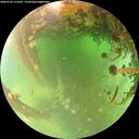 ./images/calvert/underwater/20260522/underwater20260522_113501M.jpg