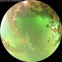 ./images/calvert/underwater/20260522/underwater20260522_115001M.jpg