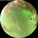 ./images/calvert/underwater/20260522/underwater20260522_115501M.jpg