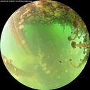 ./images/calvert/underwater/20260522/underwater20260522_120001M.jpg