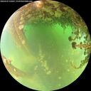 ./images/calvert/underwater/20260522/underwater20260522_122001M.jpg