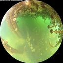 ./images/calvert/underwater/20260522/underwater20260522_122501M.jpg