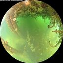 ./images/calvert/underwater/20260522/underwater20260522_123001M.jpg