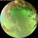 ./images/calvert/underwater/20260522/underwater20260522_123501M.jpg