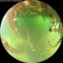 ./images/calvert/underwater/20260522/underwater20260522_124001M.jpg