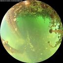 ./images/calvert/underwater/20260522/underwater20260522_124501M.jpg