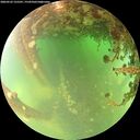 ./images/calvert/underwater/20260522/underwater20260522_125501M.jpg