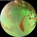./images/calvert/underwater/20260522/underwater20260522_135001M.jpg