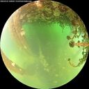 ./images/calvert/underwater/20260522/underwater20260522_140002M.jpg