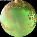 ./images/calvert/underwater/20260522/underwater20260522_140501M.jpg
