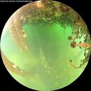 ./images/calvert/underwater/20260522/underwater20260522_141001M.jpg