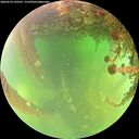 ./images/calvert/underwater/20260522/underwater20260522_143501M.jpg