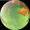 ./images/calvert/underwater/20260522/underwater20260522_144002M.jpg