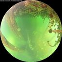 ./images/calvert/underwater/20260522/underwater20260522_150501M.jpg