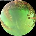 ./images/calvert/underwater/20260522/underwater20260522_151001M.jpg