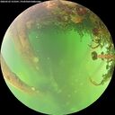 ./images/calvert/underwater/20260522/underwater20260522_153501M.jpg