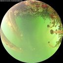 ./images/calvert/underwater/20260522/underwater20260522_161501M.jpg