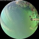 ./images/calvert/underwater/20260522/underwater20260522_170001M.jpg
