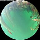 ./images/calvert/underwater/20260522/underwater20260522_183501M.jpg