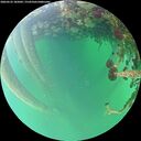 ./images/calvert/underwater/20260522/underwater20260522_185001M.jpg