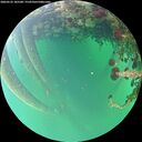 ./images/calvert/underwater/20260522/underwater20260522_185501M.jpg