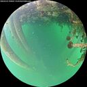 ./images/calvert/underwater/20260522/underwater20260522_190002M.jpg