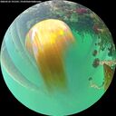 ./images/calvert/underwater/20260522/underwater20260522_191501M.jpg