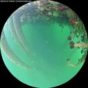 ./images/calvert/underwater/20260522/underwater20260522_193001M.jpg