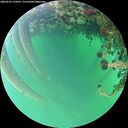 ./images/calvert/underwater/20260522/underwater20260522_193501M.jpg