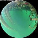./images/calvert/underwater/20260522/underwater20260522_194001M.jpg