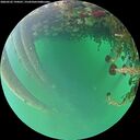 ./images/calvert/underwater/20260522/underwater20260522_194501M.jpg