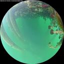 ./images/calvert/underwater/20260522/underwater20260522_195501M.jpg