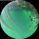 ./images/calvert/underwater/20260522/underwater20260522_200002M.jpg