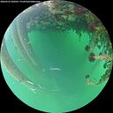 ./images/calvert/underwater/20260522/underwater20260522_200501M.jpg
