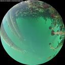 ./images/calvert/underwater/20260522/underwater20260522_202001M.jpg