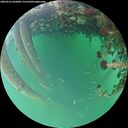 ./images/calvert/underwater/20260522/underwater20260522_204001M.jpg