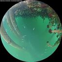 ./images/calvert/underwater/20260522/underwater20260522_204501M.jpg