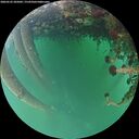 ./images/calvert/underwater/20260522/underwater20260522_205001M.jpg