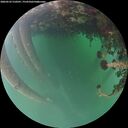 ./images/calvert/underwater/20260522/underwater20260522_210501M.jpg