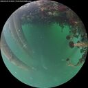 ./images/calvert/underwater/20260522/underwater20260522_211001M.jpg
