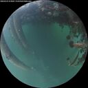 ./images/calvert/underwater/20260522/underwater20260522_213002M.jpg