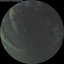 ./images/calvert/underwater/20260523/underwater20260523_045501M.jpg