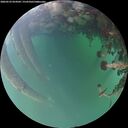 ./images/calvert/underwater/20260523/underwater20260523_054502M.jpg