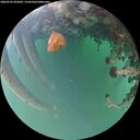 ./images/calvert/underwater/20260523/underwater20260523_055002M.jpg