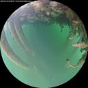 ./images/calvert/underwater/20260523/underwater20260523_060001M.jpg